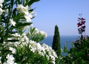 金年会娱乐-双线争锋，F1年度争冠之夜与莫兰特的冠军级表现