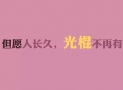 jinnianhui-钢铁牢笼与关键先生，恩比德如何为猛龙解锁胜利之门