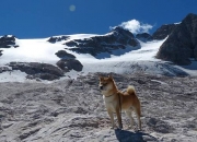 金年会博彩-锁链与孤岛，当戈贝尔的统治力成为爵士终结的注脚