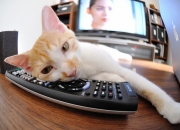 JNH体育-钢铁之师与孤勇者，卡拉斯科的征服之夜