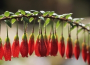 金年会娱乐-篮球场上的欧冠淘汰赛，独行侠正面击溃公牛焦点战