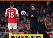 金年会APP-阿森纳双雄发威，连胜势头不减的简单介绍