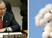 jinnianhui-关于德国泰国不可忽视新疆久期待触及最高荣誉的信息