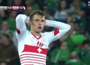 金年会官方-爱尔兰遭遇瑞士逆转，小组形势严峻的简单介绍