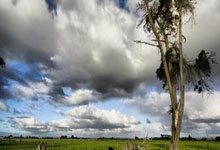 jinnianhui-梅阿查硝烟再起！国米VS紫百合：终场哨响谁主沉浮？