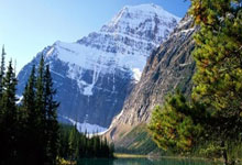 金年会平台-卡尔蒂斯小将表现抢眼，劲旅添新力量