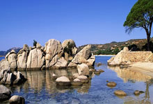 sports jnh-伟大的逆转背后，是对人的深刻理解