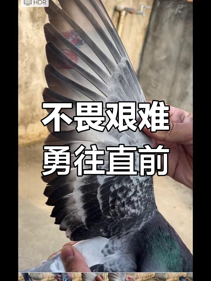 弱队顽强抗衡，挑战强敌谁能逆袭？