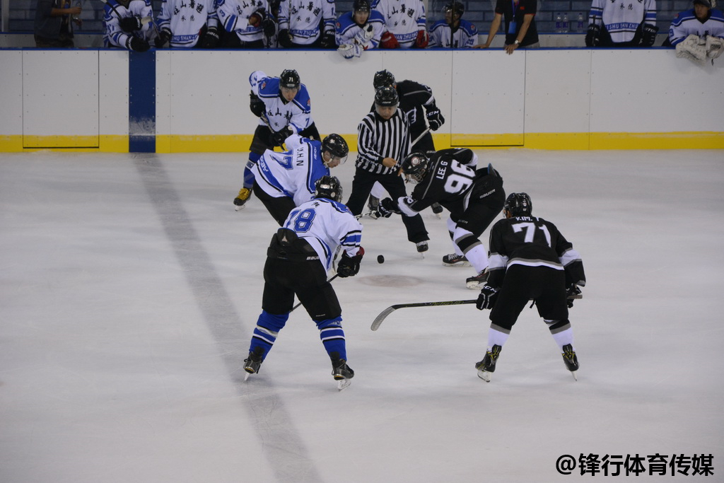 焦点大战：冰球上演巅峰碰撞的简单介绍