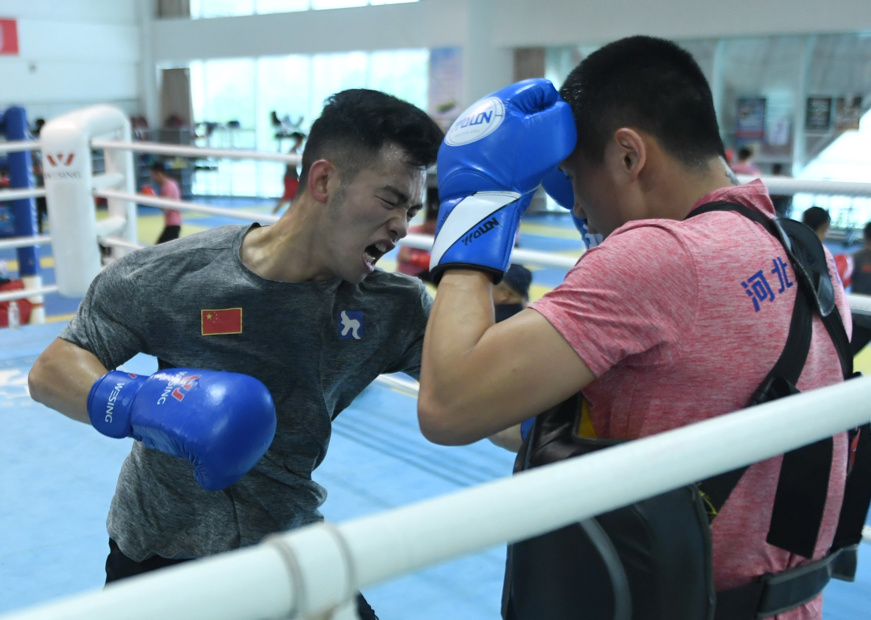 包含拳击队主教练发声，誓言带队登顶的词条