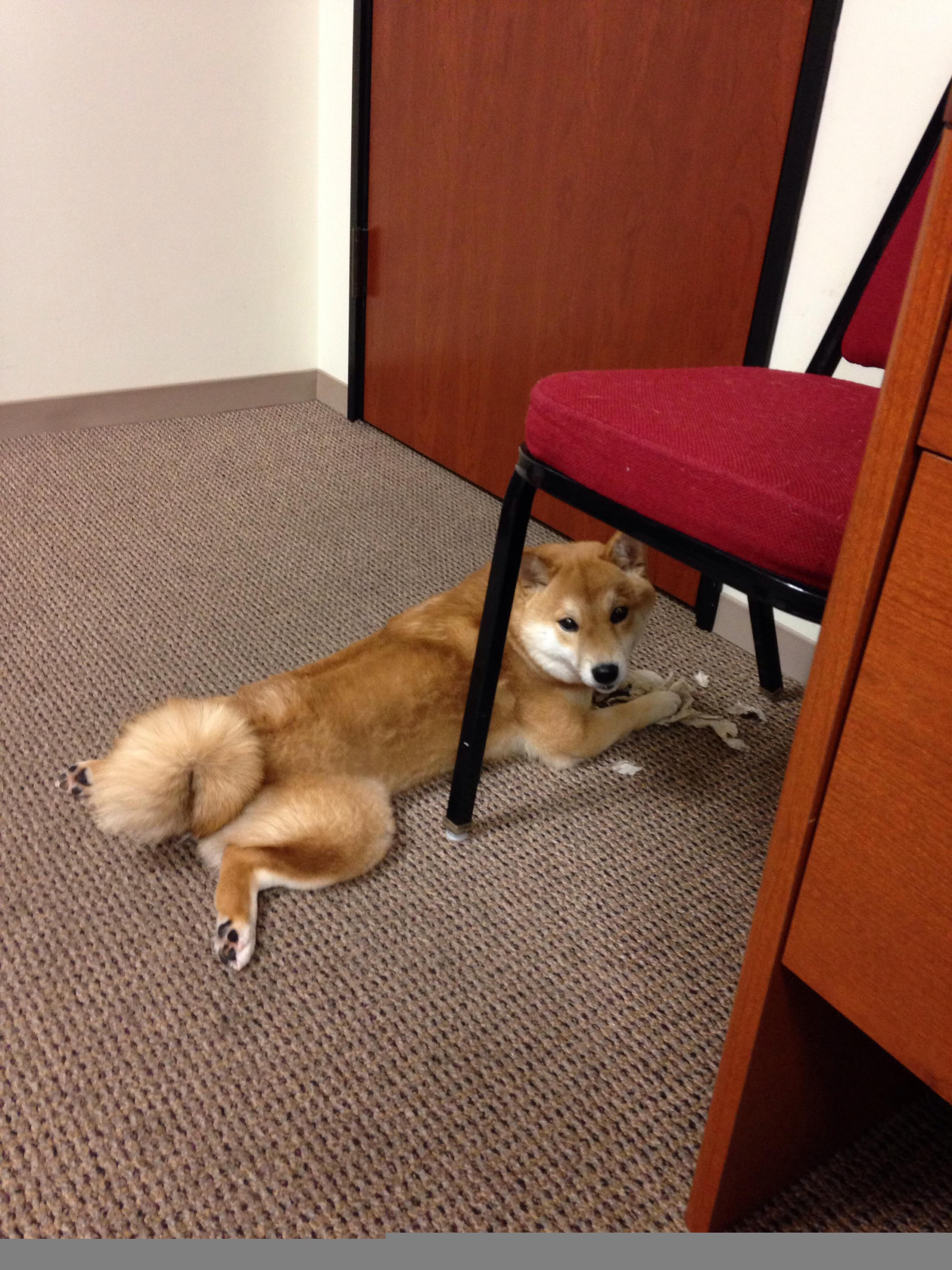 钢铁雄心的回归之战，当锡安在步行者与独行侠的对决中完成自我救赎