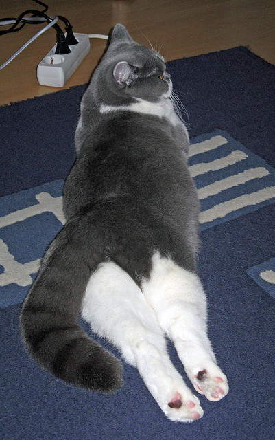 小城巨星闪耀迈阿密，霍勒迪一手导演奇才热火的冰火逆转