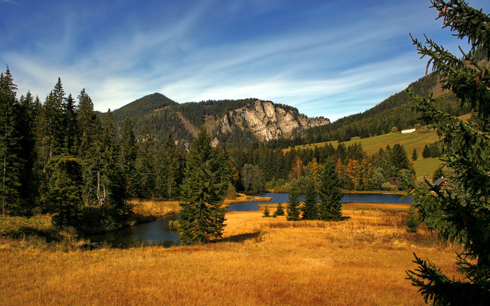 战术铁幕与巨星闪光，阿森纳封锁多特蒙德，伊布贡献制胜表现