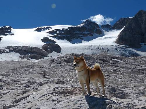 锁链与孤岛,当戈贝尔的统治力成为爵士终结的注脚