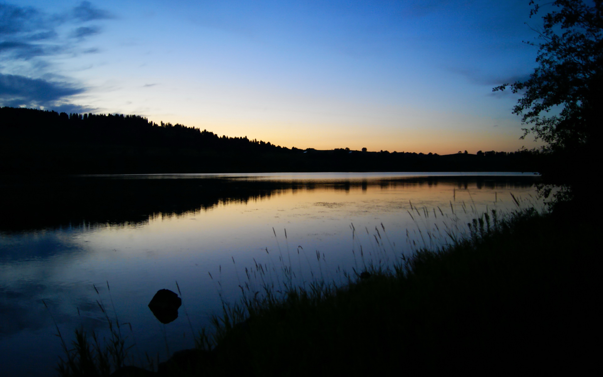 恩比德暴走难救主！库里封喉一剑，勇士窒息时刻逆转猛龙