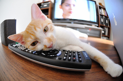 钢铁之师与孤勇者，卡拉斯科的征服之夜