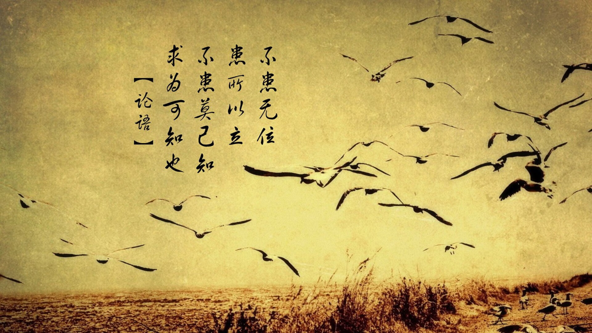 璀璨之夜，塔图姆在NBA季后赛中证明巨星本色