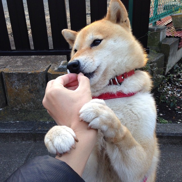 莱奥节奏的艺术，英格兰如何在末节风暴中带走巴黎