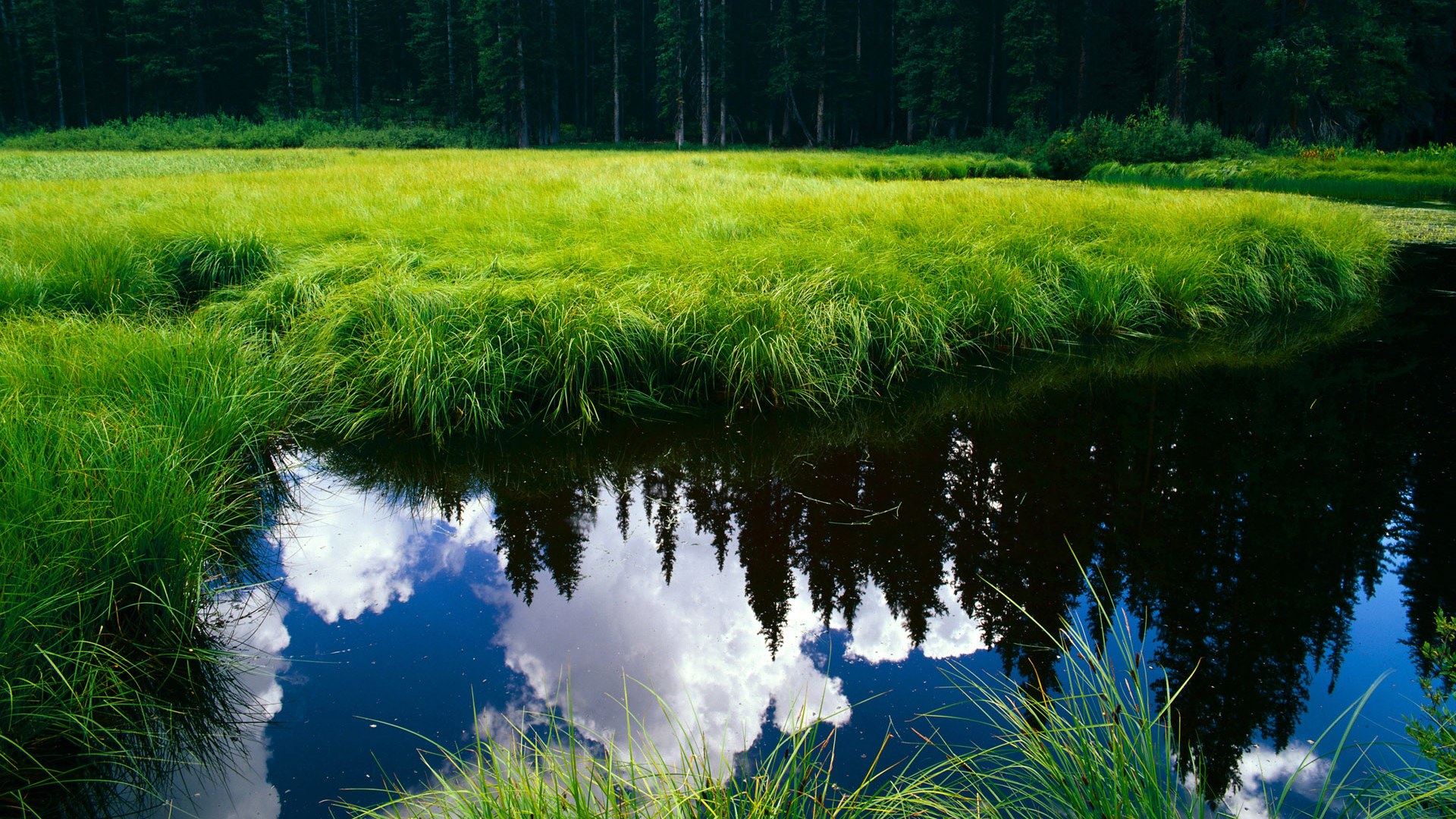 奥运前哨战,黄蜂单节风暴击溃篮网,球星国家队命运在此一役